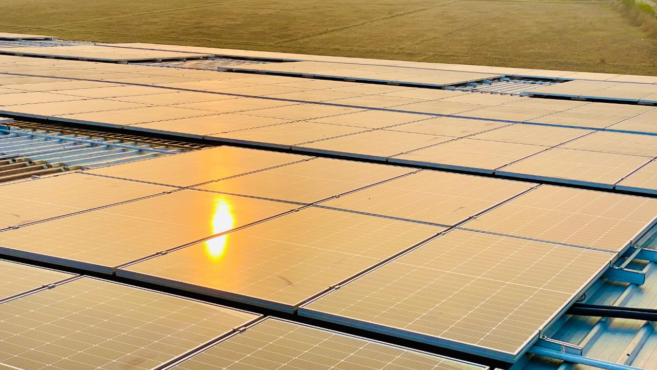 SSB Animal Feed 700kw